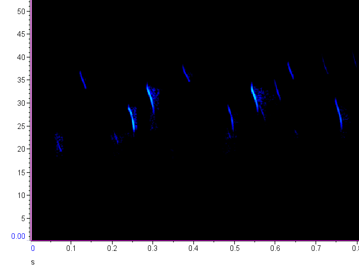 Espectrograma de Murcielago